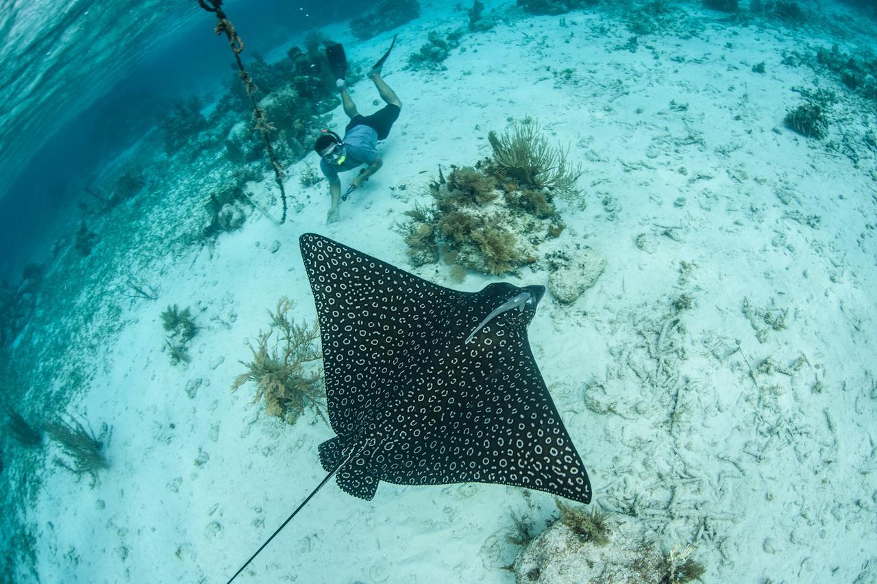 Turneffe Island Resort Turneffe Atoll Zewnętrze zdjęcie